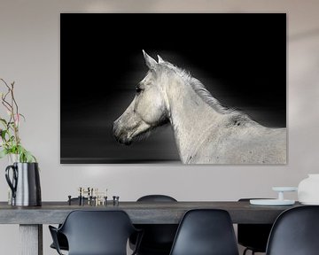 White Horse by RuxiQue