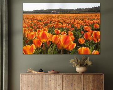 Orange Tulips by Geert Heldens
