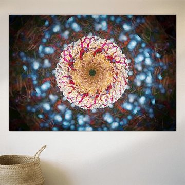 Mehrfache Aufnahme eines Pilzes