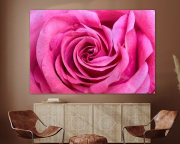 Roze roos van Ad Jekel