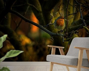 Robin by Lex Schulte