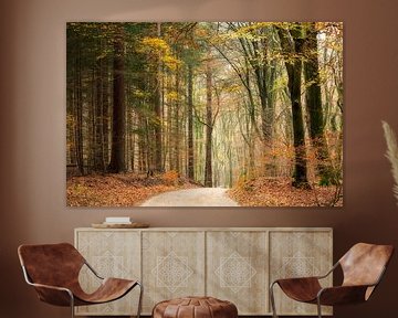Autumn in the Speulderbos by Francis Dost