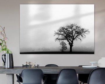 Einsamer Baum im Nebel von Francis Dost