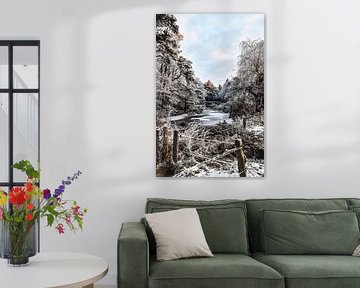 winterbos