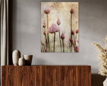Bieslookbloesems en -knoppen van Claudia Gründler