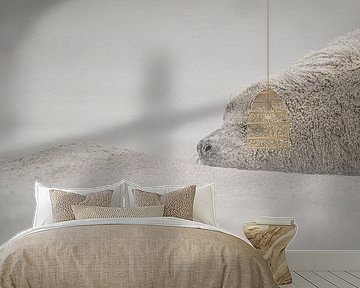 On the beach of Düne, Helgoland, Germany by Martijn van Dellen