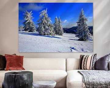 Schneebäume im Schwarzwald von Patrick Lohmüller