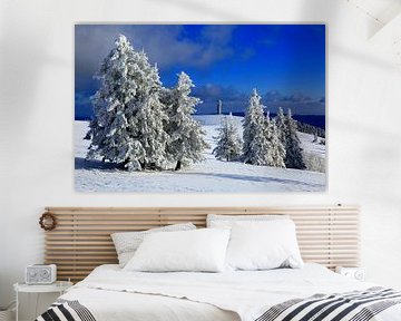 Schneebäume auf dem Felberg von Patrick Lohmüller
