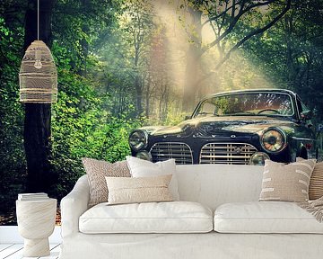 Volvo Amazon  by Remy De Milde