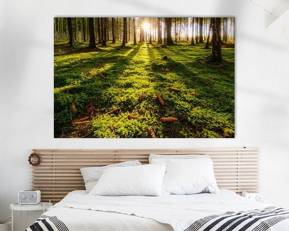 Aperçu de la chambre