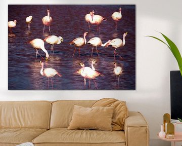 flamingos by Stefan Havadi-Nagy