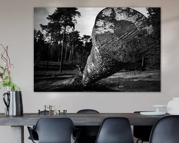 Ein kuscheliger Baumstumpf