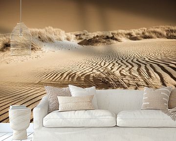 Das Strandhafer und der Sand von robert wierenga