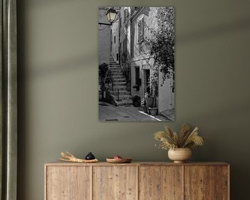 Roquebrune van Foto Amsterdam/ Peter Bartelings