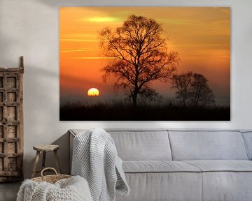 Sonnenaufgang in der Ginkel-Heide von Herman van Alfen