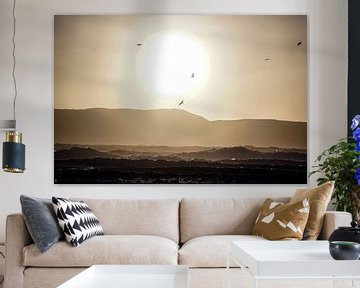 zonvogels en -golven van Stefan Havadi-Nagy