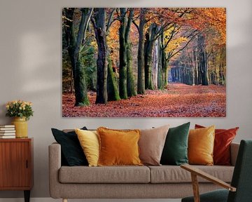Herbstlicher Wald von Herman van Alfen