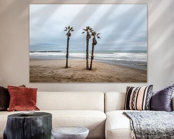 3 palmbomen op strand in Valencia van Eric van Nieuwland