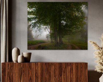 De grands arbres dans le brouillard. Forêt brumeuse dans la légendaire Colchide grecque ancienne, Ca sur Michael Semenov