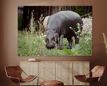 Nijlpaard loopt op het groene gras. van Michael Semenov
