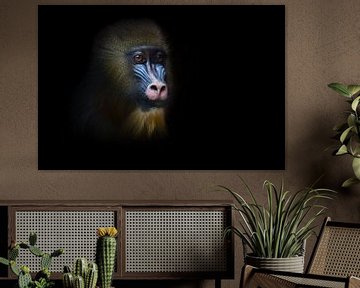 Le visage pensive d'un singe madrilène Rafiki sur Michael Semenov