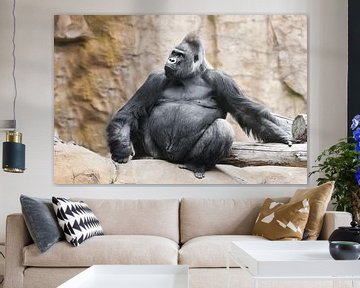 Een krachtige dominante mannelijke gorilla van Michael Semenov