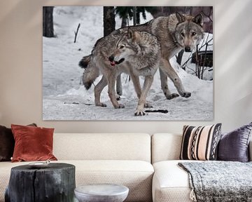 De familie van de wolven is een groot mannetje en vrouwtje van Michael Semenov