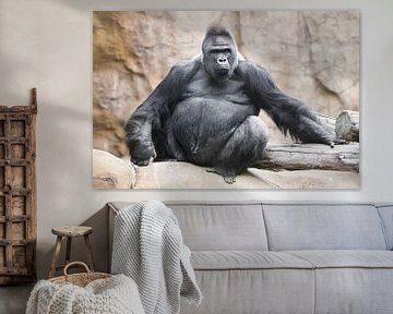 Een krachtige dominante mannelijke gorilla