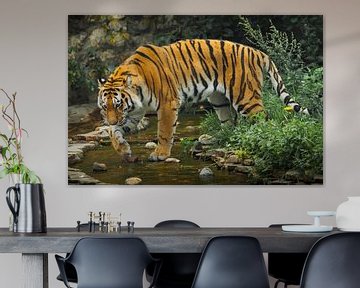 Ein schöner Tiger, eine große Raubkatze auf dem Hintergrund eines Baches und eines satten smaragdgrü von Michael Semenov