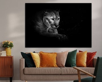 A proud beautiful predatory cat sits in the darkness. cat in the night forest, black background. Pum by Michael Semenov