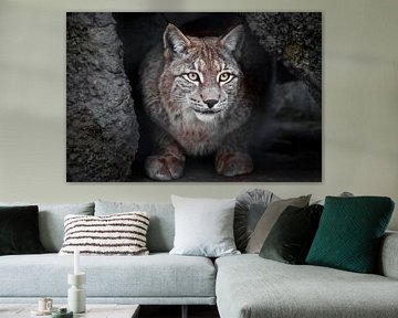 Lynx is een grote wilde kat, ironisch genoeg is de donkere achtergrond de heldere ogen van een kat.. van Michael Semenov