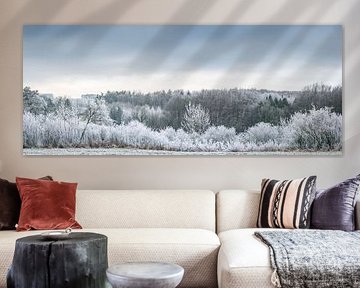 Winter landscape in frost