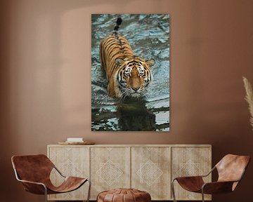 kruipt op het water, een zorgvuldige blik. jonge mooie tijger met expressieve ogen loopt op het wate van Michael Semenov