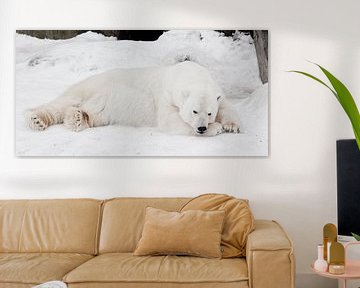 Een witte ijsbeer in een pluizige kristalwitte huid die op de sneeuw ligt en slaapt (rust), een groo van Michael Semenov