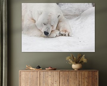 Un ours polaire blanc à la peau duveteuse et blanche comme du cristal, couché sur la neige et dorman sur Michael Semenov