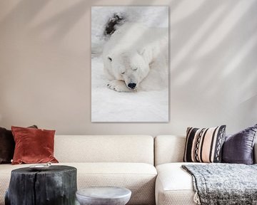 Comfort in de koude, rustgevende slaap Krachtige roofdier-ijsbeer ligt in de sneeuw, close-up van Michael Semenov