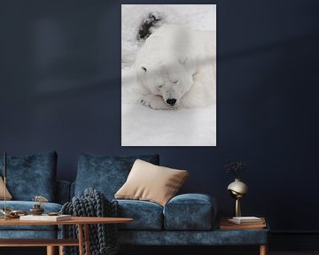 Komfort in der Kälte, erholsamer Schlaf Mächtiger Raubtier-Eisbär liegt im Schnee, Nahaufnahme
