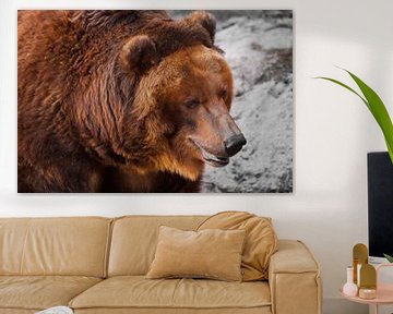 Enorme krachtige bruine beer close-up, sterk beest op een stenen achtergrond, Russische beer. van Michael Semenov