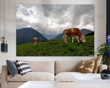 koeien Oostenrijk van CreaBrig Fotografie