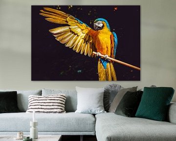 Macaw Parrot by Wilko Zoer