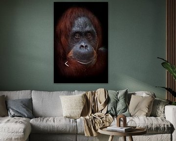 Het intelligente gezicht van een orang-oetan-filosoof met rood haar tegen een donkere achtergrond.
