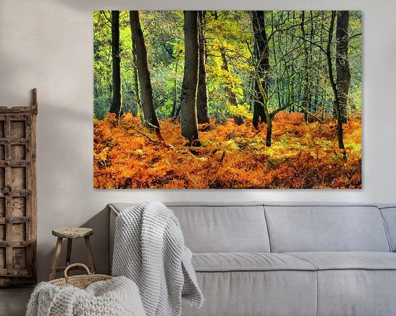 Aperçu de la chambre