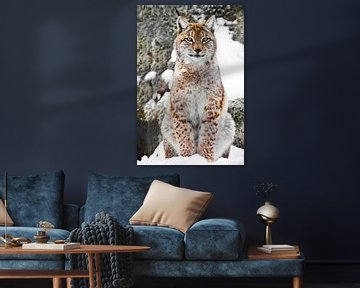 Een mooie en sterke wilde lynx zit rechtop in de sneeuw. Lynx kijkt naar je. van Michael Semenov