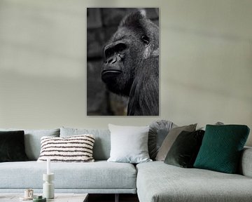 De brutale snuit van een krachtige en sterke mannelijke gorilla is een symbool van mannelijkheid en 