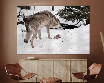 Boze en roofzuchtige wolf gromt en laat zijn tanden zien over een stuk vlees tussen de wintersneeuw  van Michael Semenov