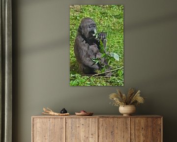 Schattige ontroerende jonge gorilla tiener zit op het gras en eet bladeren, een jonge mensachtige.