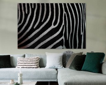 Zebra textuur close-up. Zwart-witte zebrahuid. van Michael Semenov