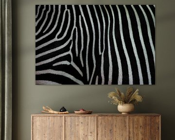 Nahaufnahme der Zebra-Textur. Schwarz-weißes Zebrafell. von Michael Semenov
