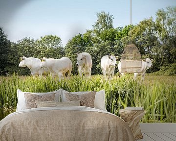 Five cows in a row by Evelien Oerlemans