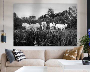 Fünf Kühe in einer Reihe in schwarz-weiß von Evelien Oerlemans
